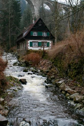 House-on-the-Stream-Austria